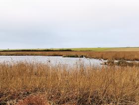026-IMG_20210114_105819