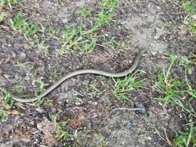 02-IMG_20210531_094812