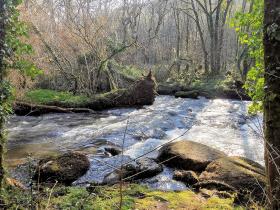 65-IMG_20210307_104708