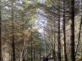 79-IMG_20210307_110547