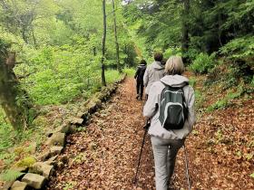 38-IMG_20210522_111820_1