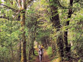 32-IMG_20210522_110305_1