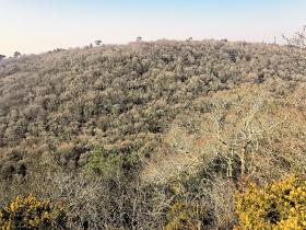 32-IMG_20210307_102515