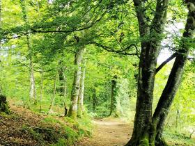 31-IMG_20210522_110259