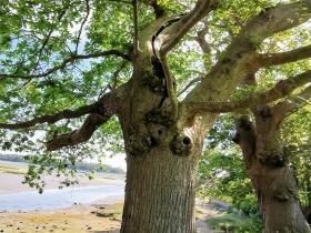 IMG_20200531_101736