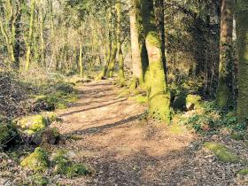 83-IMG_20210307_111434