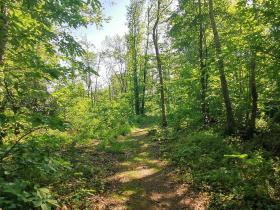 18-IMG_20210531_103558