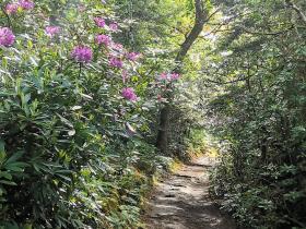 08-IMG_20210522_104517