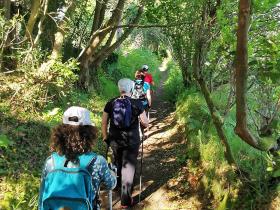 38-IMG_20210531_105440