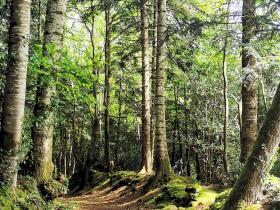 46-IMG_20210522_112634