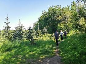 36-IMG_20210531_105328