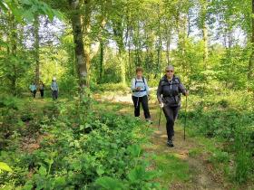 21-IMG_20210531_103801