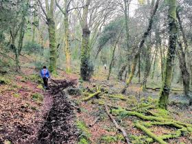 21-IMG_20210307_101110