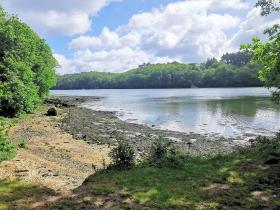 25-IMG_20210522_105300