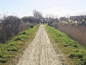 17-IMG_20210403_102800_1