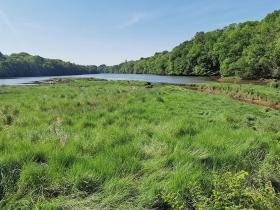 39-IMG_20210531_105914