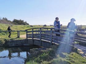 32-IMG_20210403_105052_2