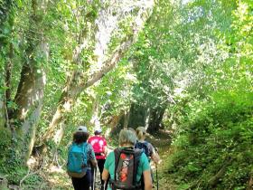 51-IMG_20210531_111653