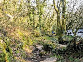 69-IMG_20210307_104805