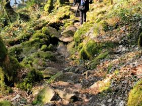 71-IMG_20210307_104846_1