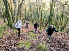 29-IMG_20210307_102320_1