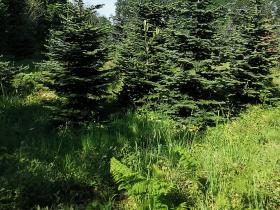 34-IMG_20210531_105310