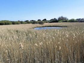 16-IMG_20210403_102750_1