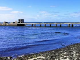 60-IMG_20210403_112640