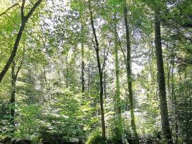 27-IMG_20210531_104601