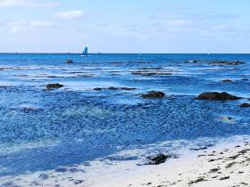 61-IMG_20210403_112726