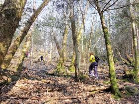 95-IMG_20210307_112716