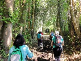 50-IMG_20210531_111637