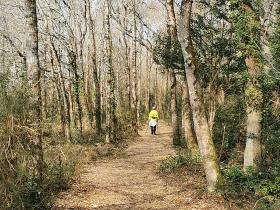 40-IMG_20210309_111336