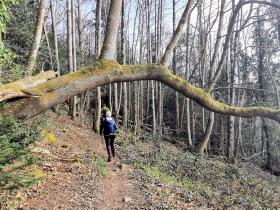 94-IMG_20210307_112624