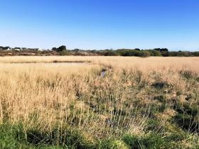 19-IMG_20210403_102847