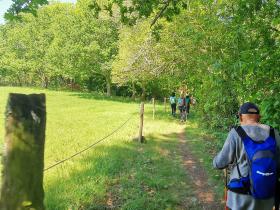 46-IMG_20210531_111423