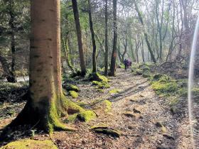 74-IMG_20210307_110222