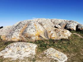 38-IMG_20210403_105810_1