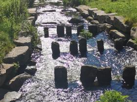 09-IMG_20210531_100123