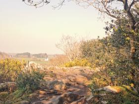 30-IMG_20210307_102457