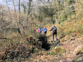 86-IMG_20210307_111803