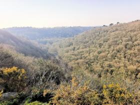 31-IMG_20210307_102513_1