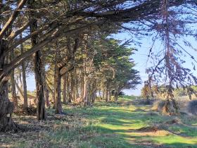 44-IMG_20210403_111356