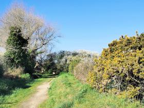 23-IMG_20210403_104243_1