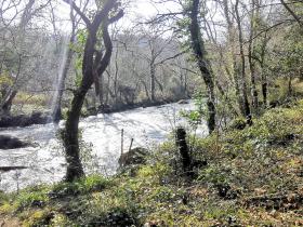 78-IMG_20210307_110407