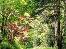 47-IMG_20210522_112721