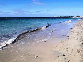 55-IMG_20210403_112121