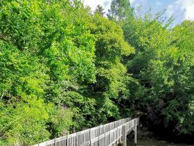 19-IMG_20210522_104959_1