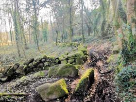 17-IMG_20210307_100825