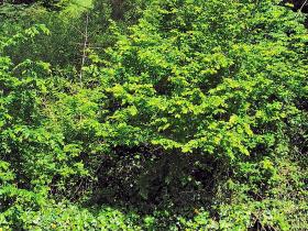 21-IMG_20210522_105017